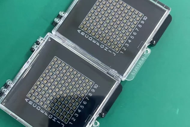 ������ѡ